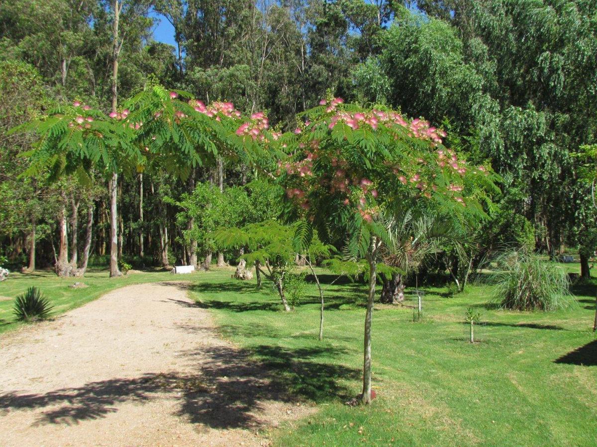 La Posta De La Laguna La Paloma Εξωτερικό φωτογραφία