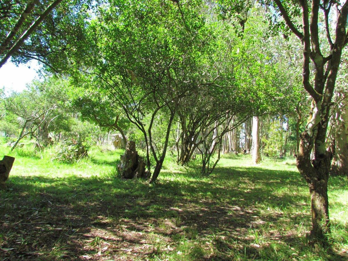 La Posta De La Laguna La Paloma Εξωτερικό φωτογραφία